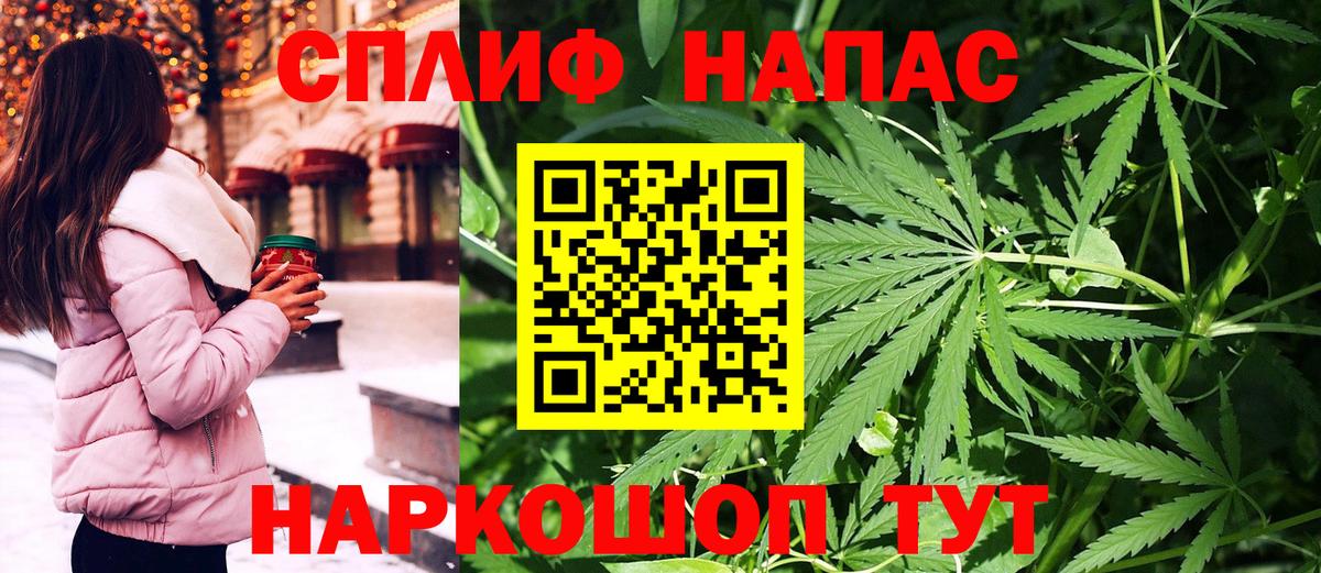 МАРИХУАНА сатива Обь